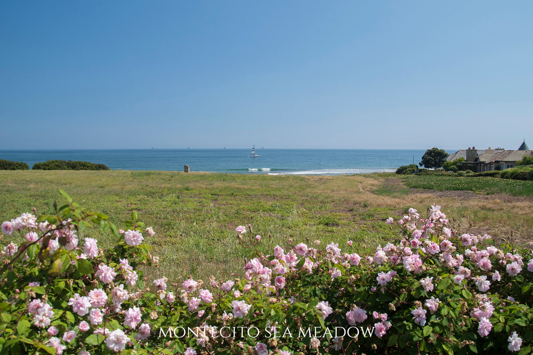 Montecito Sea Meadow